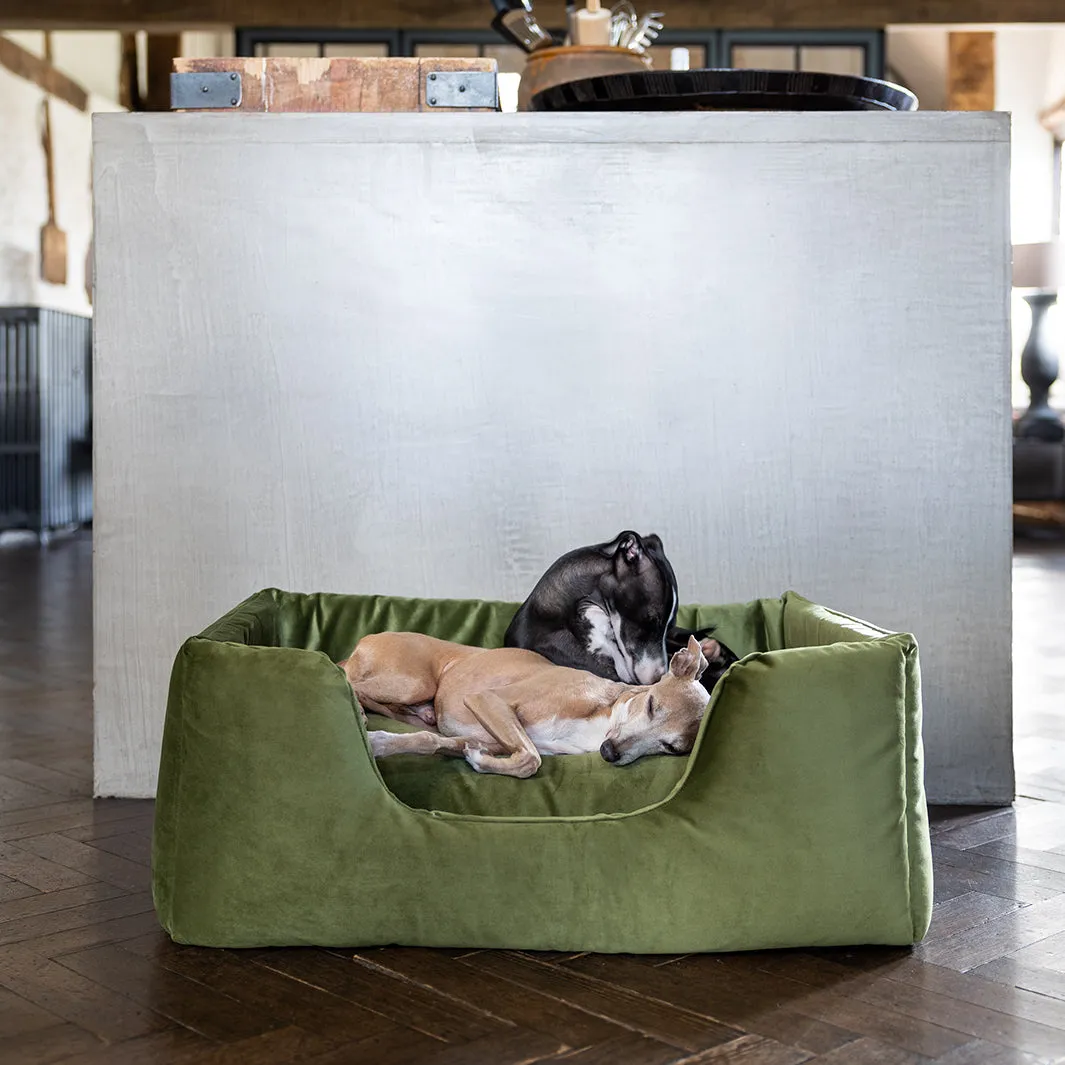 Deeply Dishy Luxury Dog Bed - Velour Contrast