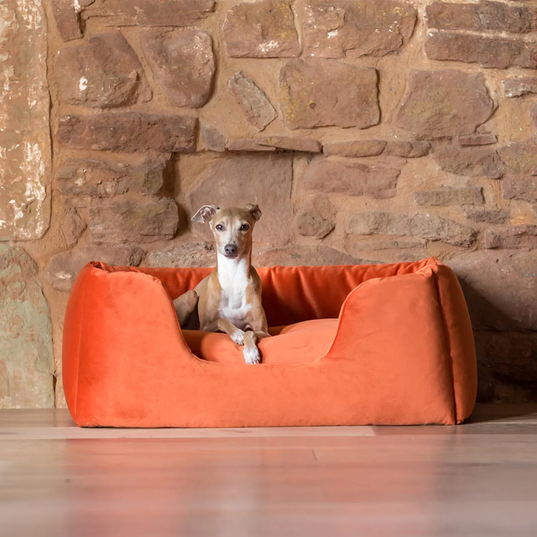 Deeply Dishy Luxury Dog Bed - Velour Contrast