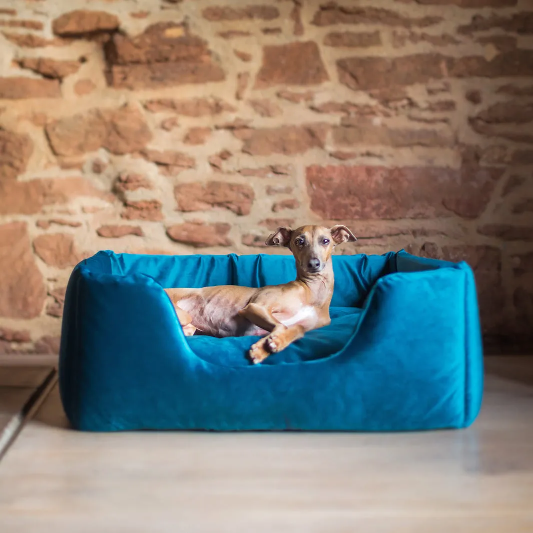 Deeply Dishy Luxury Dog Bed - Velour Contrast