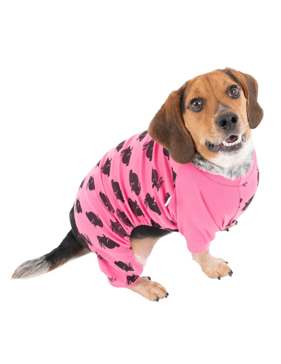 Dog Bunny Pajamas