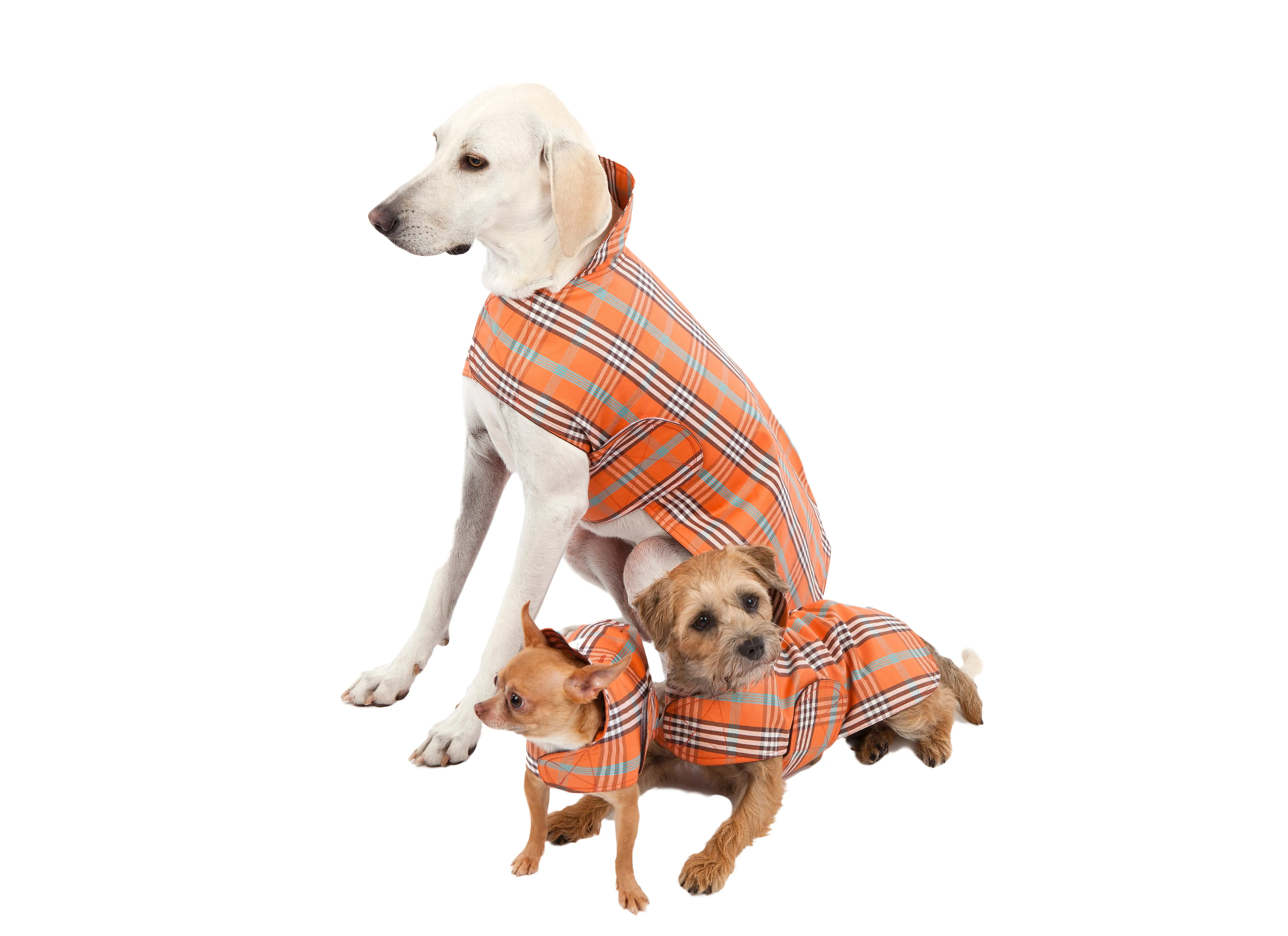 Dog Coat - Raincoat Waxed, Orange Plaid