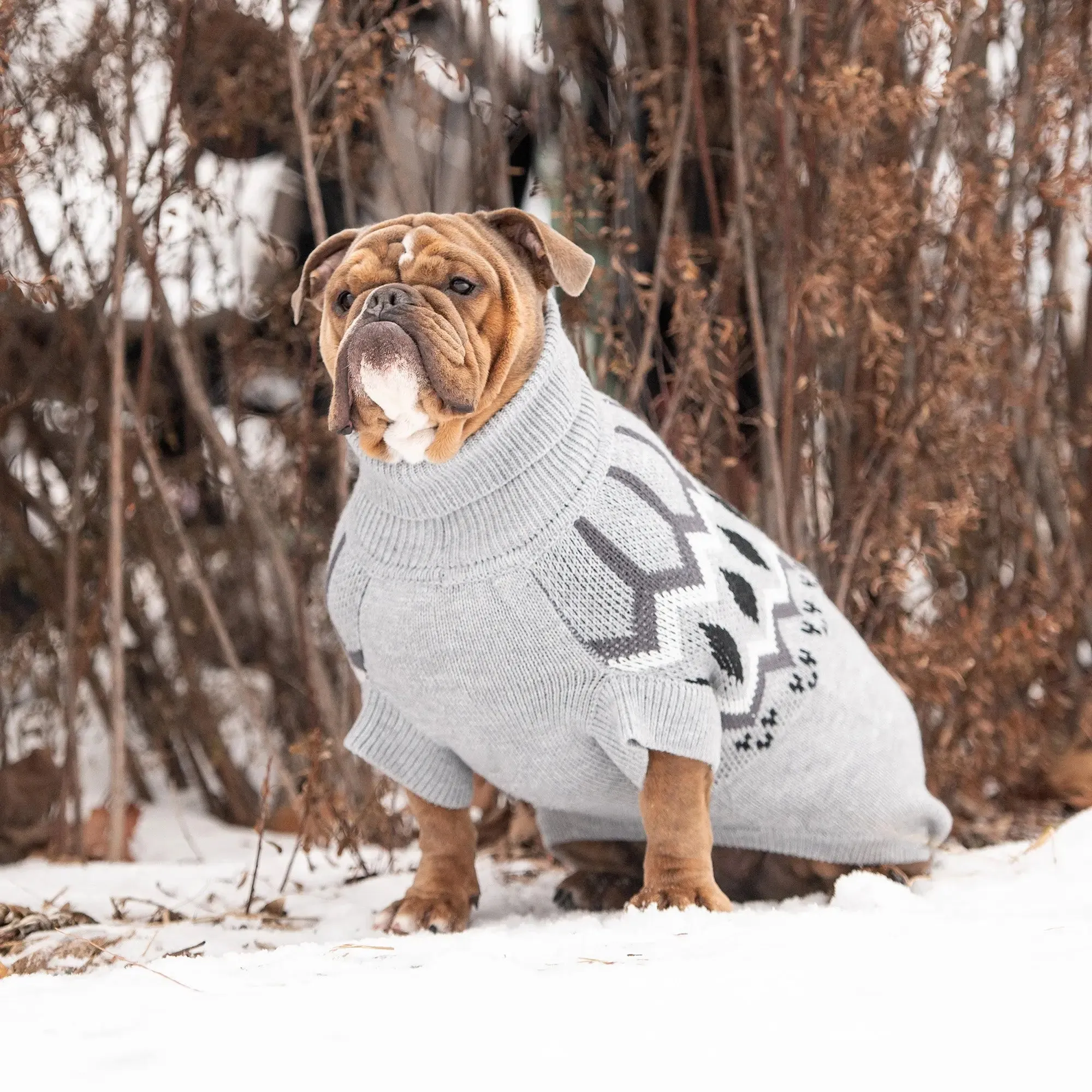 Heritage Dog Sweater | Grey Mix