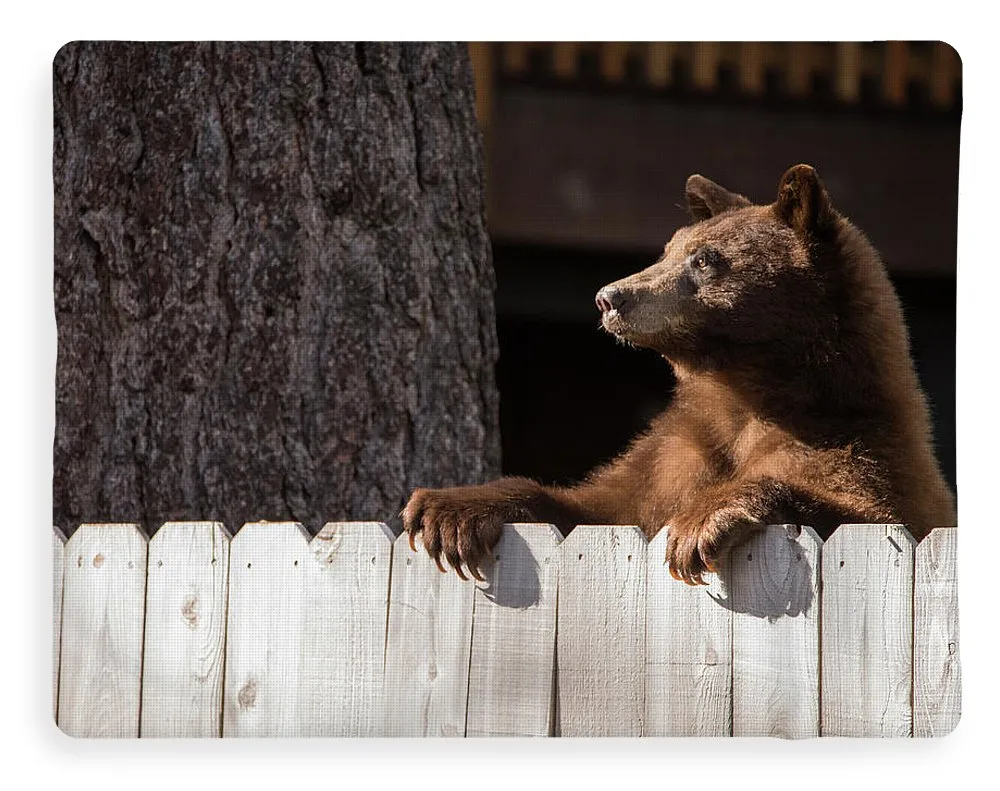 Hey There Neighbor By Brad Scott - Blanket