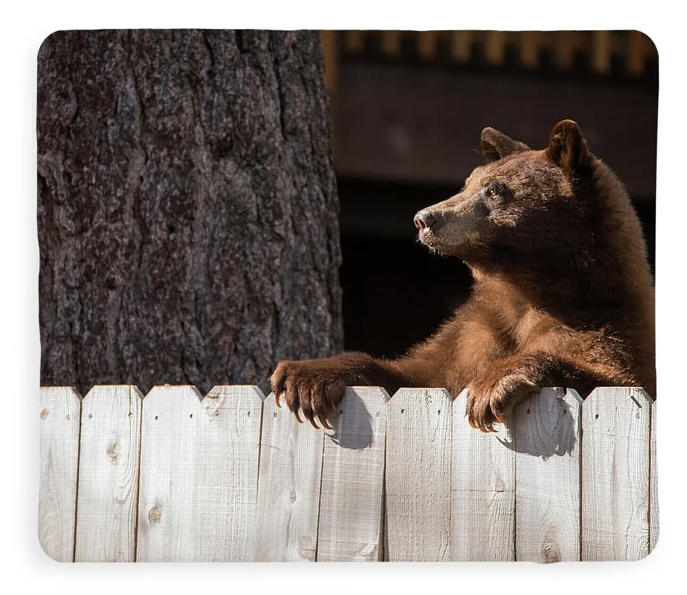 Hey There Neighbor By Brad Scott - Blanket