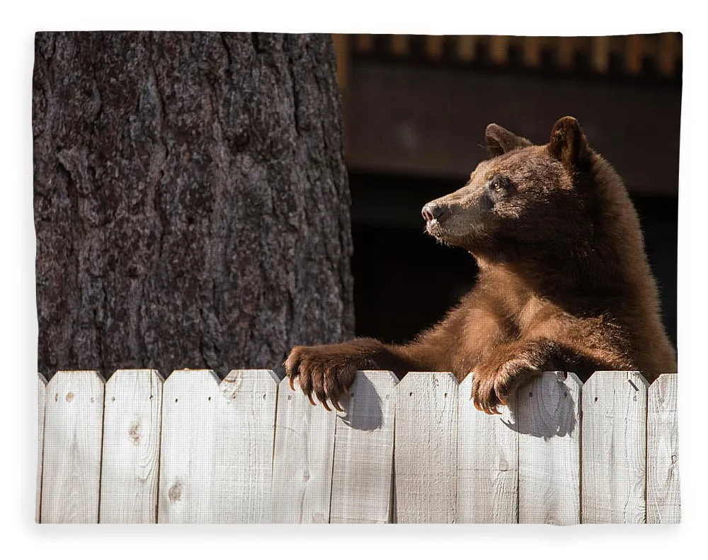 Hey There Neighbor By Brad Scott - Blanket