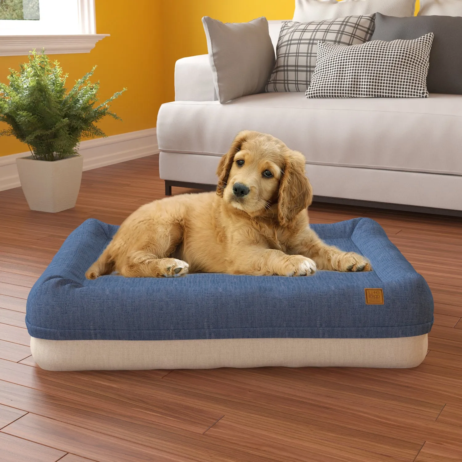 Pup Pup Kitti Plush Orthopedic Breatheable Pet Mat with NoFom cushion technology Medium, Blue/Beige (2 units left!)